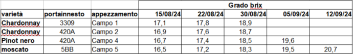 registro del contenuto espresso in gradi Brix per varie tipologie vitigno